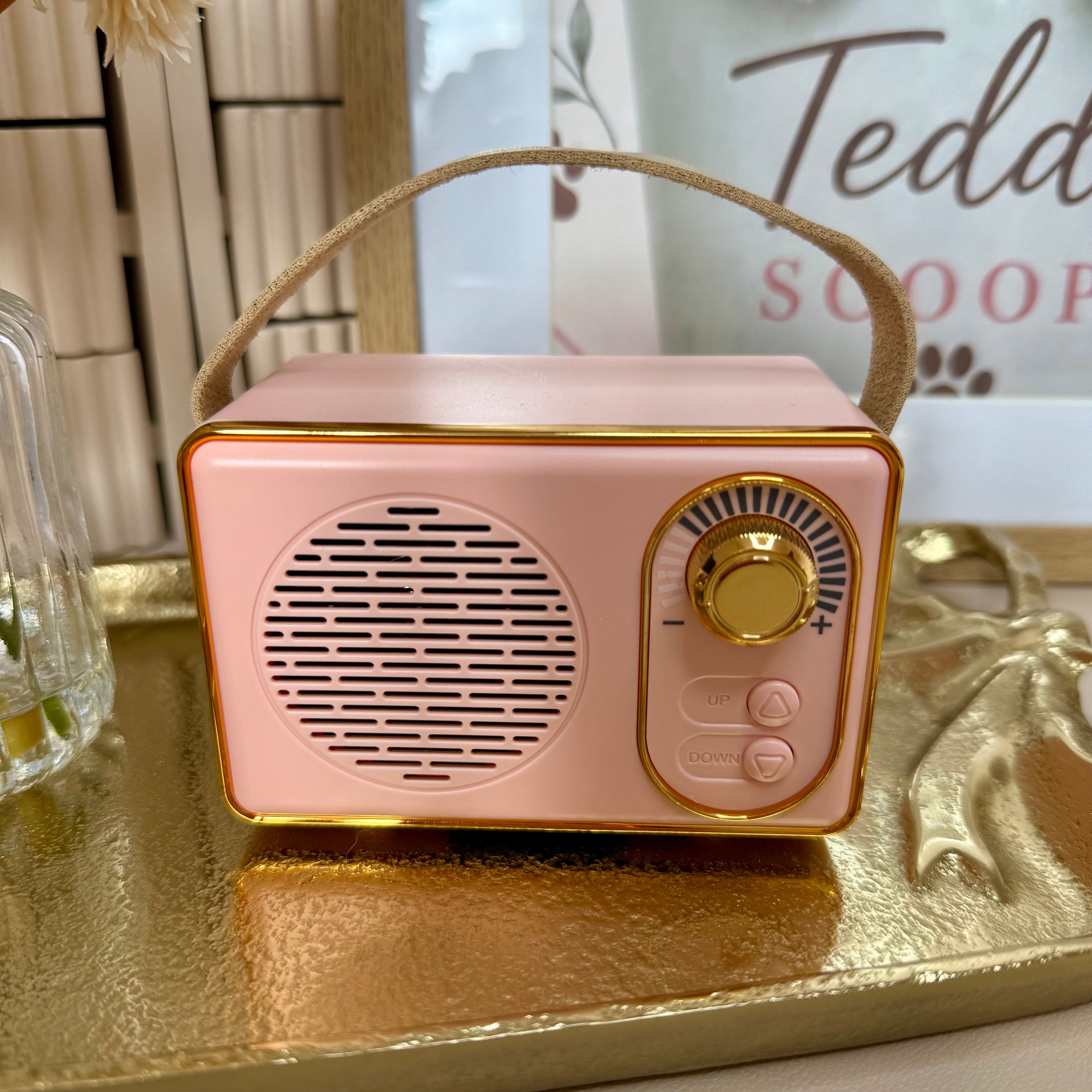 Retro Mini Wireless Speaker – Pink & Gold