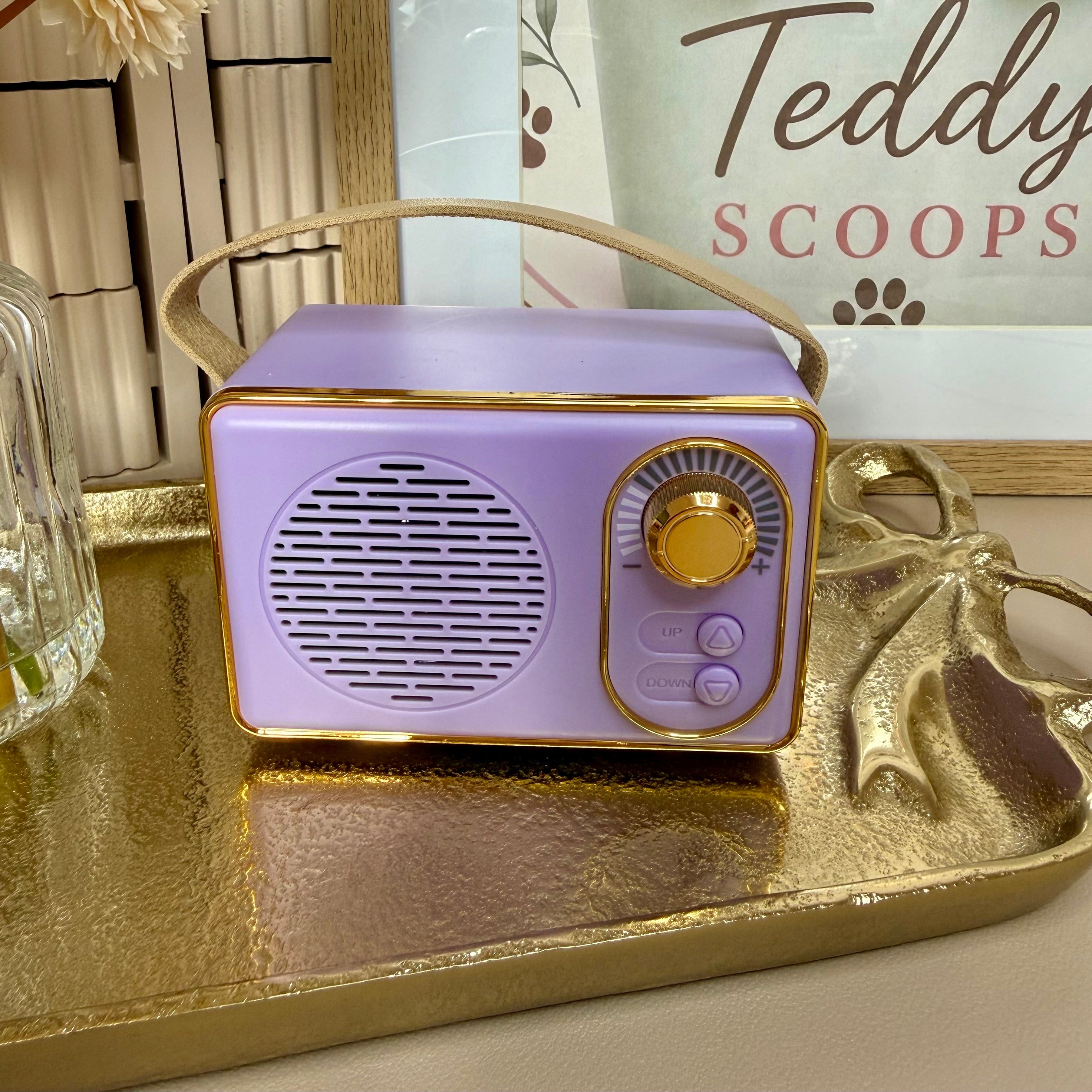 Retro Mini Wireless Speaker – Purple & Gold